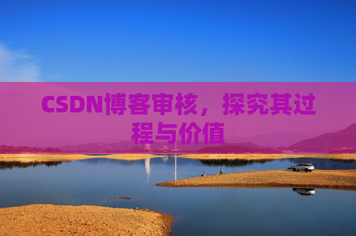 CSDN博客审核,探究其过程与价值